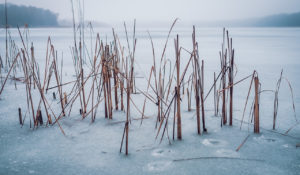 icy lake Strausberg