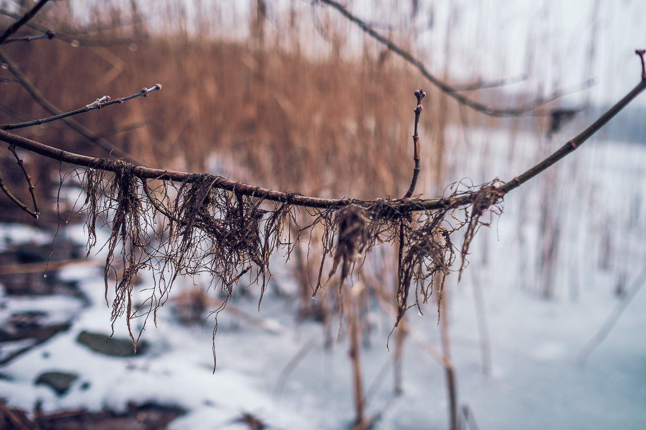 icy lake Strausberg