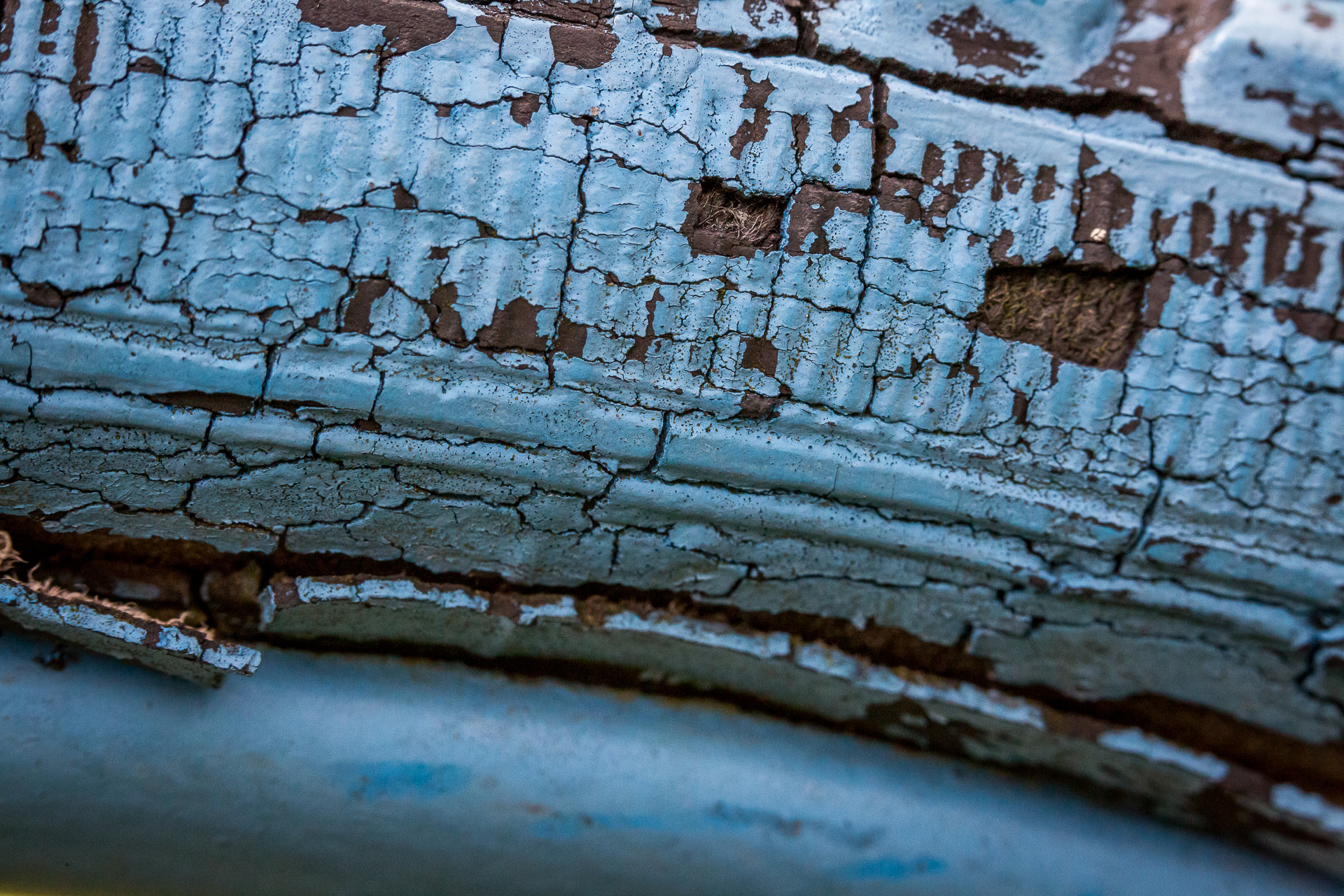 blue bike tire