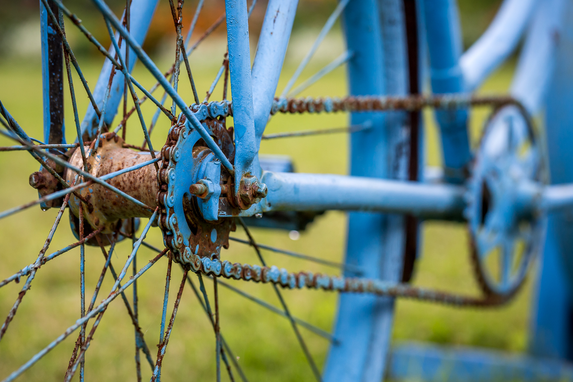 blue bike chain